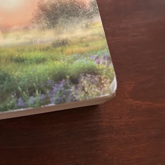 The Englisher By Beverly Lewis Book - Picture 2 of 4